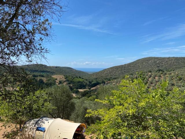 Divacamp Glamping Resort Campiglia Marittima Exterior photo